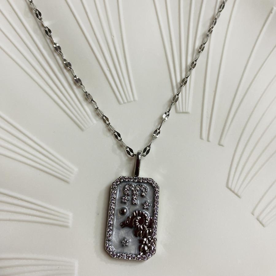 KOÇ BURCU BAYAN ÇELİK KOLYE