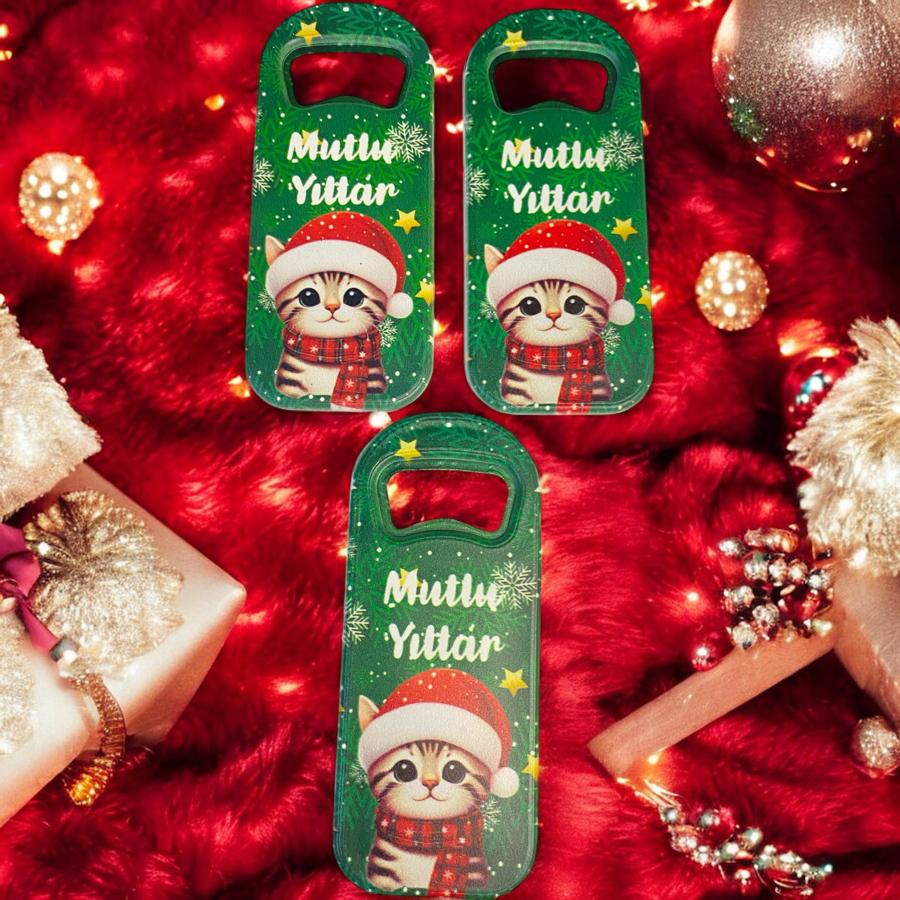 Yeni Yıl Kedicikli Açacak Magnet